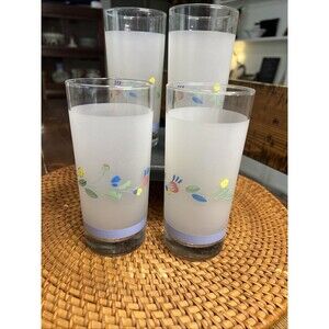 RARE Floral Expressions 16 OZ FROSTED GLASS TUMBLERS JAPAN  Hearthside SET OF 4